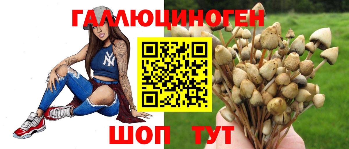 Псилоцибиновые грибы Magic Shrooms Кропоткин